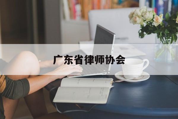 广东省律师协会(广东省律师协会地址)