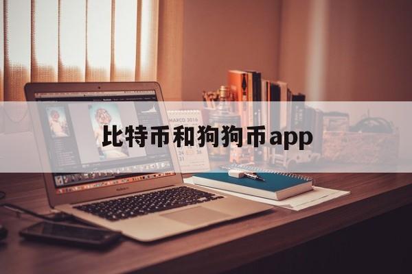 比特币和狗狗币app(比特币和狗狗币是货币吗)